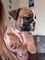 Click to view classifieds UKLJGGLR