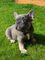 Click to view classifieds XVBOCSHW