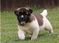 Click to view classifieds EYFTMOKF