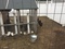 Click to view classifieds LOBEOWDV