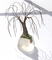 Click to view classifieds WZJYPDPB