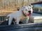 Click to view classifieds STCLLLYQ
