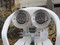 Click to view classifieds COKKBOUT