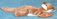 Click to enlarge image