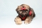 Click to view classifieds PQOOSNKN