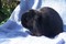 Click to view classifieds YZGHFXEH