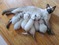 Click to view classifieds JMPXENSK