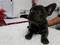 Click to view classifieds LFROLEGB
