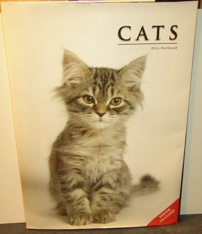 Giant Book - Full-Color "Cats"