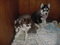 Click to view classifieds JHACRGWL