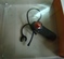 Click to view classifieds DRACZWUF