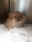 Click to view classifieds LMHOTTEJ