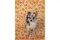 Click to view classifieds HTGEPNWC