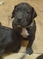 Click to view classifieds CWBWZBQU