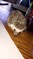 Click to view classifieds CUSGESJF