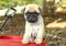 Click to view classifieds VBMCWBUP