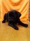 Click to view classifieds DKDLMRTV