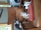 Click to view classifieds TNZBGRPM