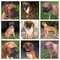 Click to view classifieds NLJNVXZC