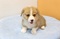 Click to view classifieds MVSCVNLB