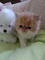 Click to view classifieds KWXCNCSR