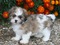 Click to view classifieds USKJHDSQ