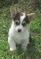 Click to view classifieds AXFNVEWO
