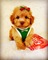 Click to view classifieds AUZPVLPG