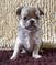 Click to view classifieds BWUOSDZV