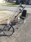 Click to view classifieds AGYELLZM