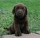 Click to view classifieds YCDAUYJW