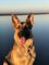 Click to view classifieds BPGUXSZW