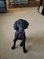 Click to view classifieds QXJSQSLU