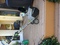 Click to view classifieds YBGDSUYQ