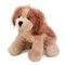 Click to view classifieds AAEWQLYZ