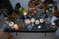 Click to view classifieds RMLWVVHK