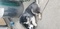 Click to view classifieds UGXFYTKO