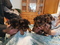 Click to view classifieds JMUDLGXC