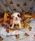 Click to view classifieds ZGJKCOAS