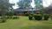 Click to view classifieds SRUKPYGF