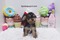 Click to view classifieds TOQYQGDJ