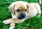 Click to view classifieds JBYBETED