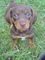 Click to view classifieds AZHZFWVL
