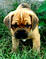 Click to view classifieds YVOXWLSS