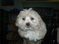 Click to view classifieds ACXLNXSR