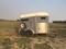 Click to view classifieds ARHBSLVV