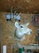 Click to view classifieds EYYZWLWR