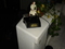 Click to view classifieds KXPGHCZA