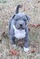 Click to view classifieds EPESDKVN