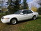 Click to view classifieds MMNMFYDU